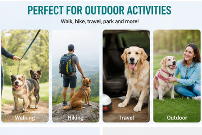Travel Pet Drinker Leakproof Dog Bowl Food Containers